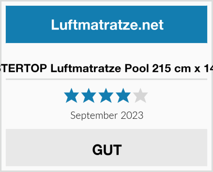  MASTERTOP Luftmatratze Pool 215 cm x 145cm Test